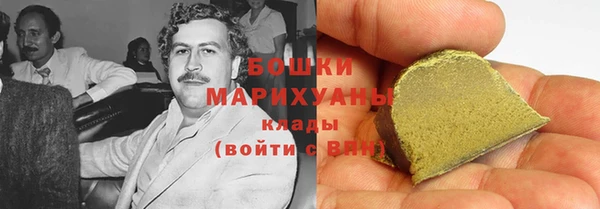 прущие грибы Ростов