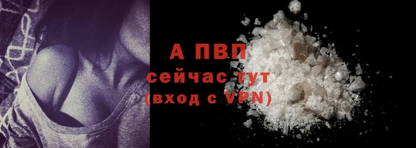прущие грибы Ростов