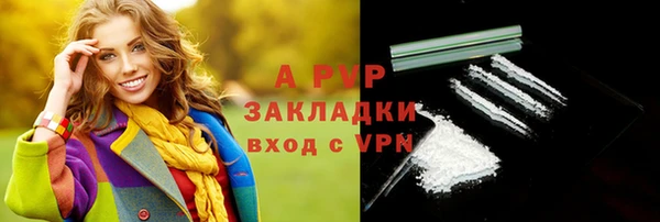 прущие грибы Ростов