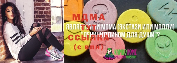 прущие грибы Ростов