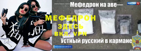 прущие грибы Ростов